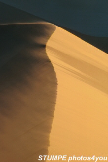Dne in der Namib