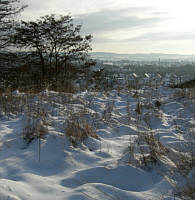 Blick auf Forchheim im Januar 2007