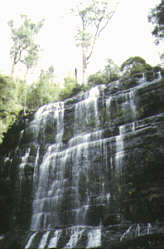 Tasmanien - Russel Falls