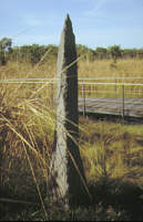605 Lichtfield Park - Termitenhügel